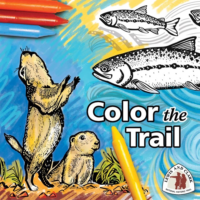 color the trail graphic with salmon and prairie dog in background