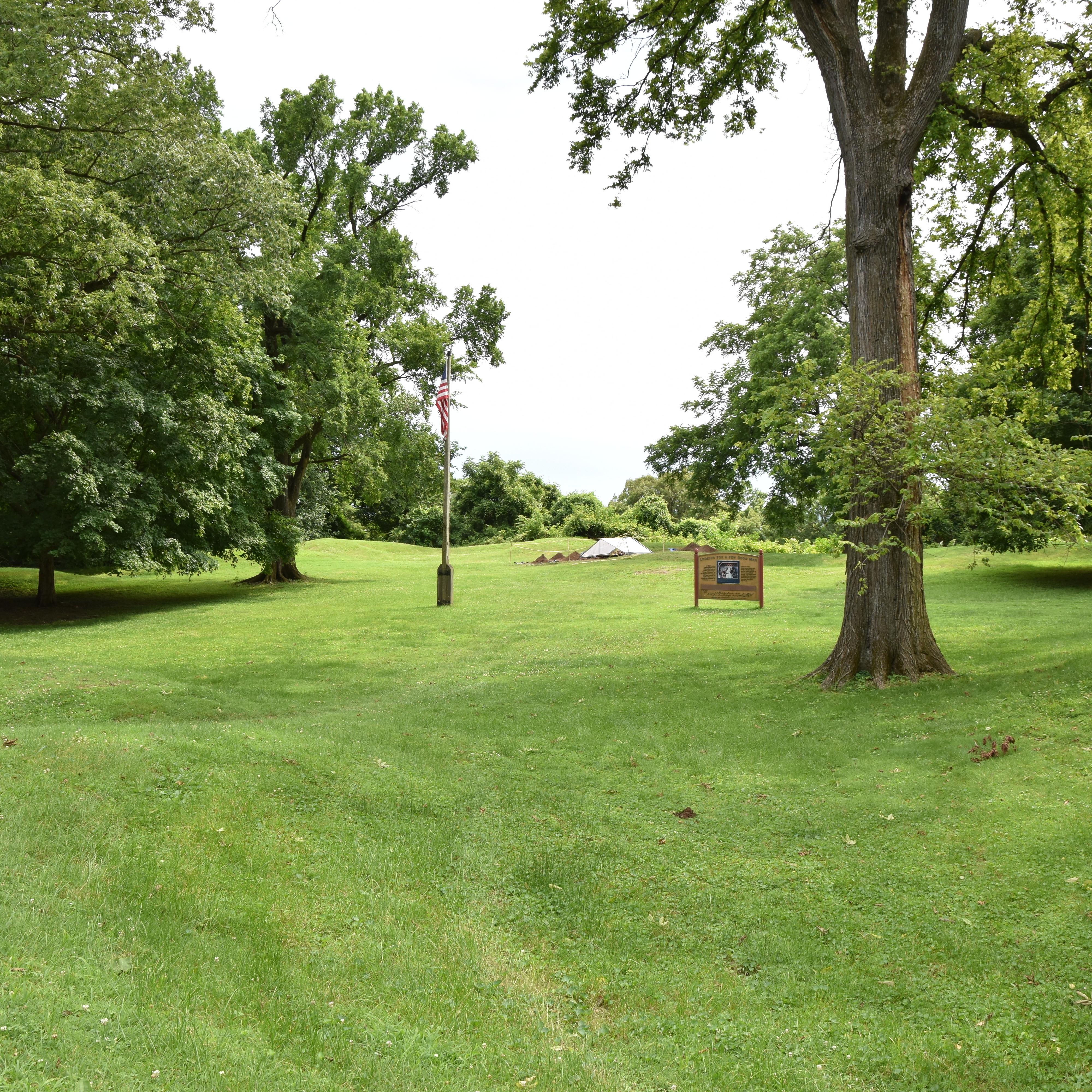 grassy area with flagpole