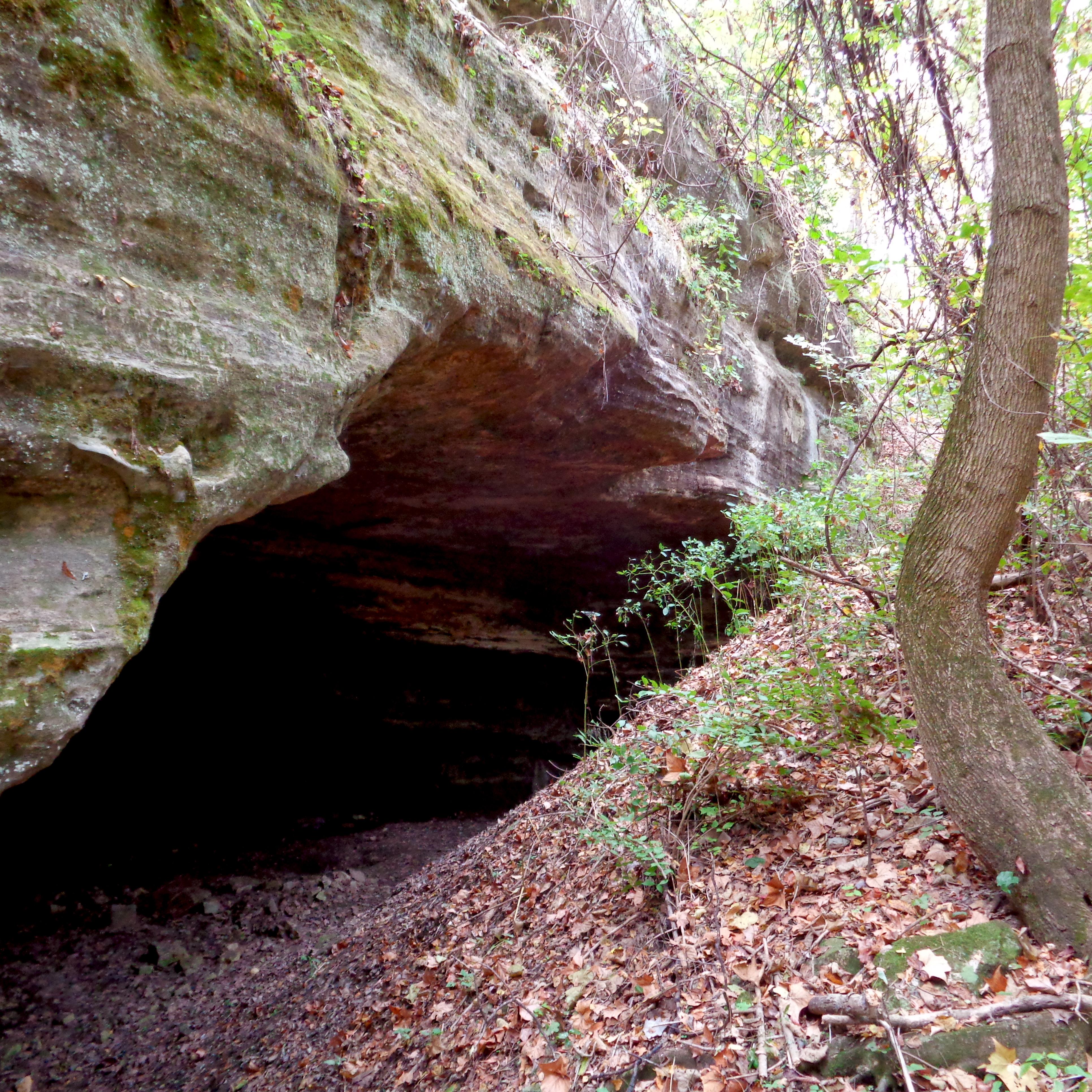 Rock outcropping surrounded by the forest