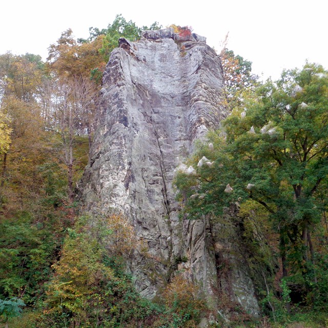 Rock cliff with surrounding trees