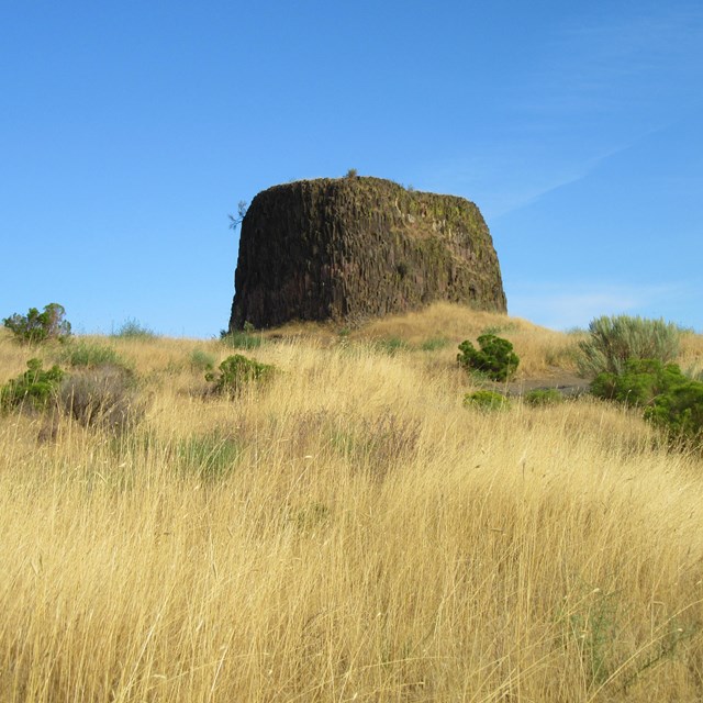 Large rock in the shape of a top hat