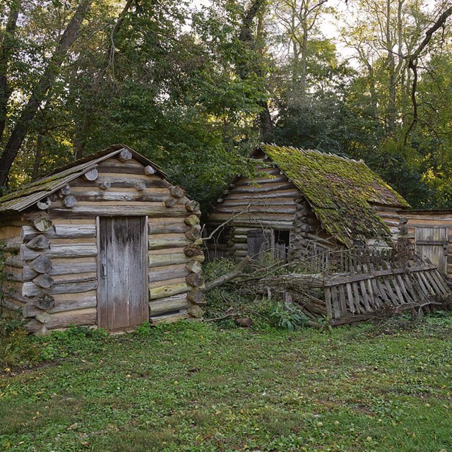 2 mossy log cabins in the woods, located at Lincoln's New Salem State Historic Site