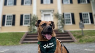 A dog wearing a BARK Ranger bandana in front of a yellow house