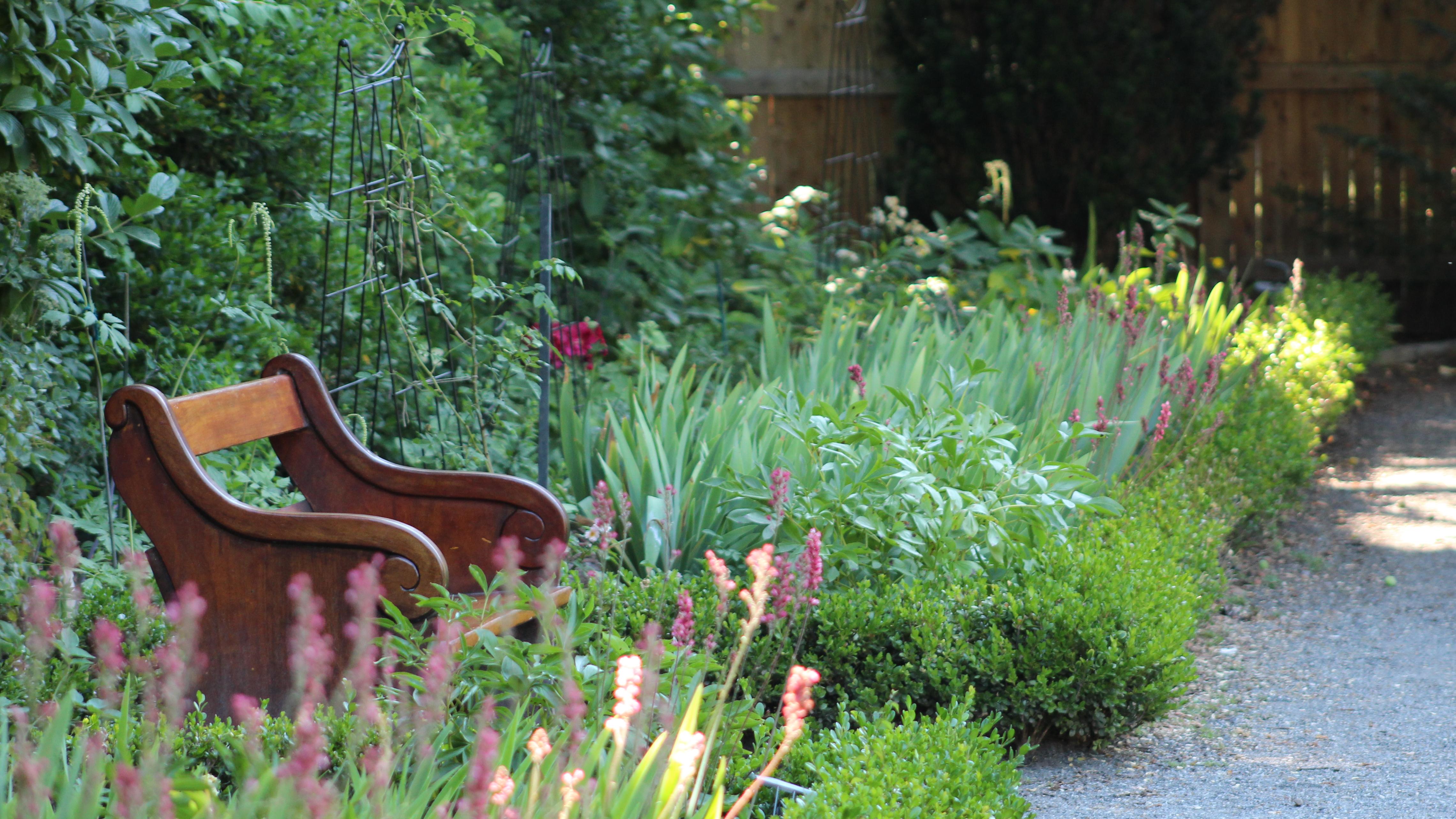 Wooden garden bench along a gravel path, surrounded by lush greenery and purple flowers