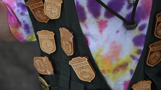Assortment of junior ranger badges on a vest