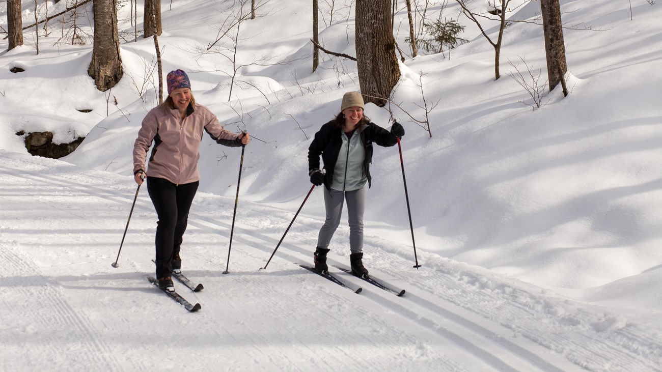 two people on cross country skis on forested trail