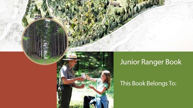 Junior Ranger book cover, text reads "Junior Ranger Book, This book belongs to:"