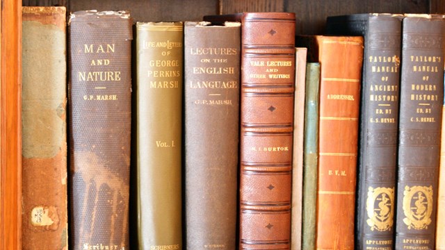 group of historic bound books on shelf including Man and Nature