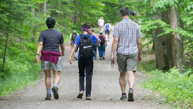 photo of three hikers on a trail from behind