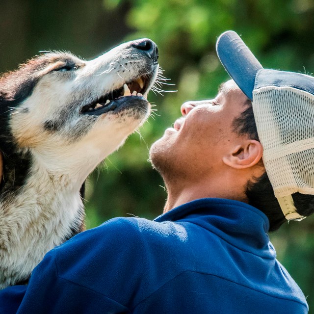 a smiling man in a ballcap pets a husky