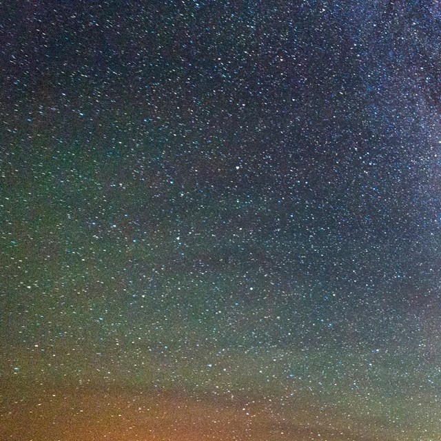 the milky way with silhouettes of plants in the foreground