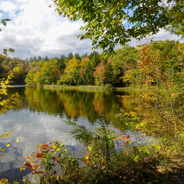 hillside pond with fall foliage