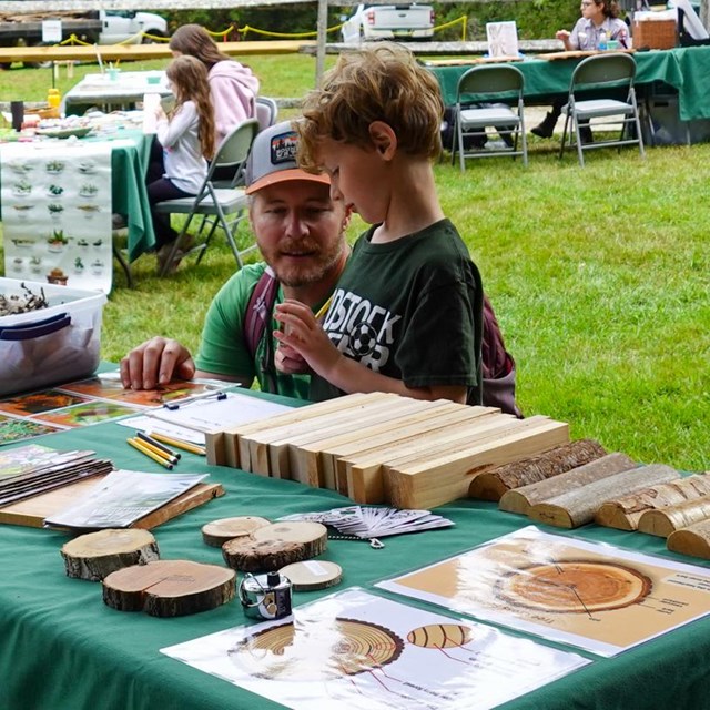 Child and parent explore a touch table at Forest Festival