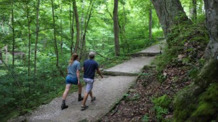 Two hikers climb an uphill forest trail.