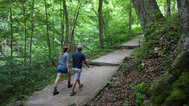 Two hikers climb an uphill forest trail.