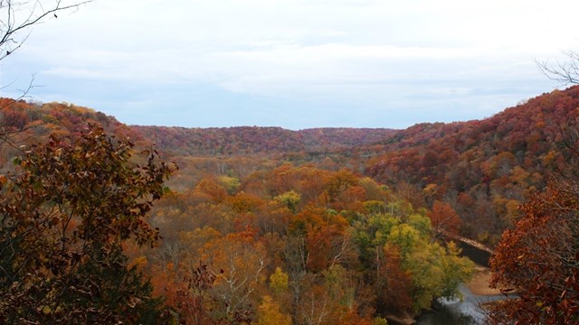 A river meanders through a valley surrounded by hillsides full of bright fall foliage.