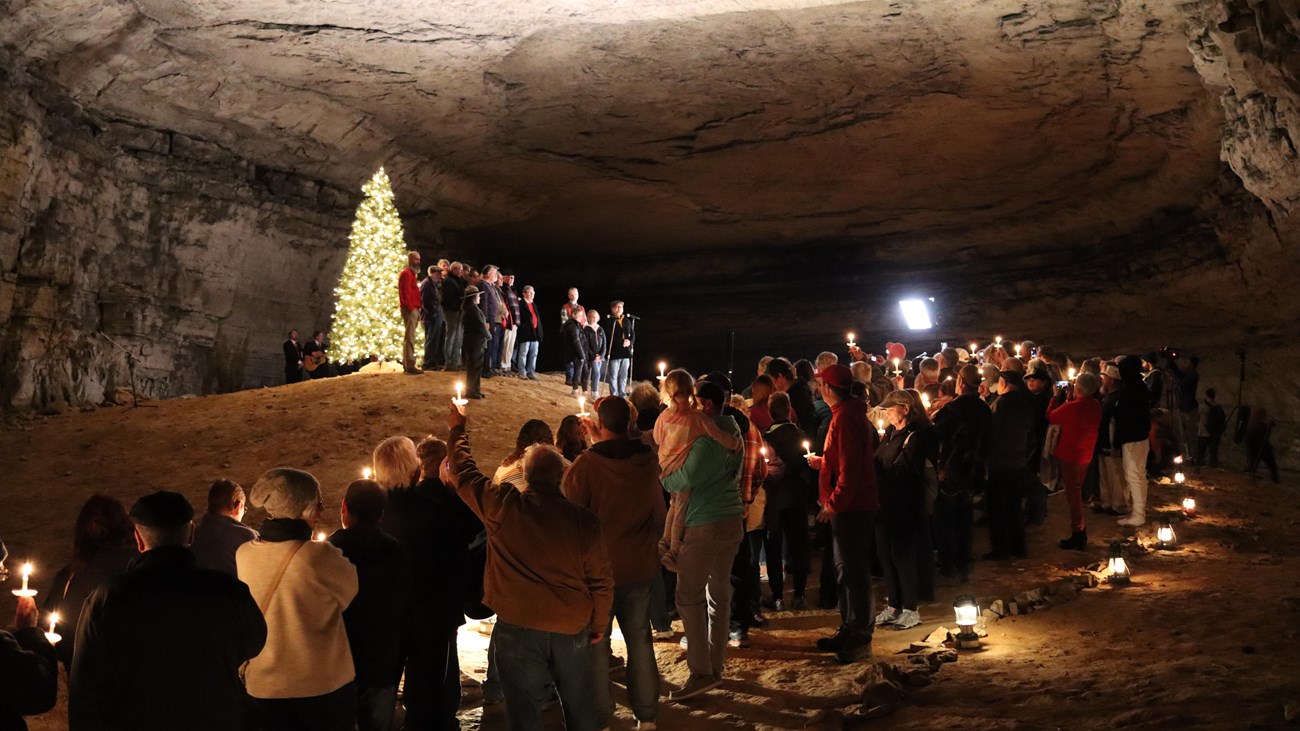 A group of people stand around a decorated evergreen tree in an underground cave passage.
