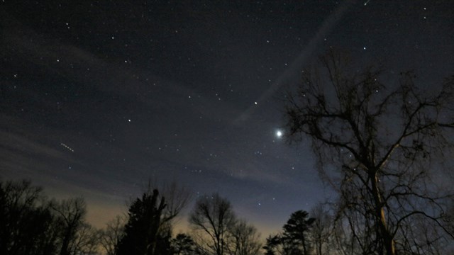 A starry night sky above trees.