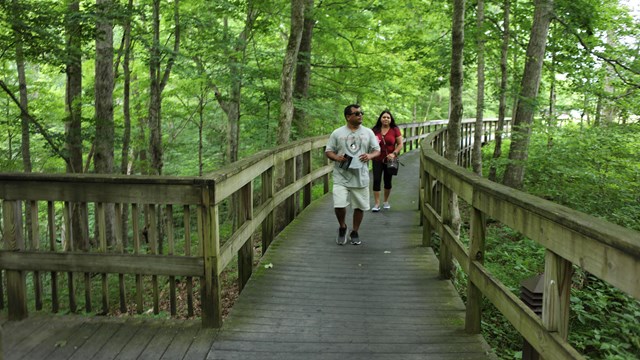 A couple hikes along a wooden boardwalk trail