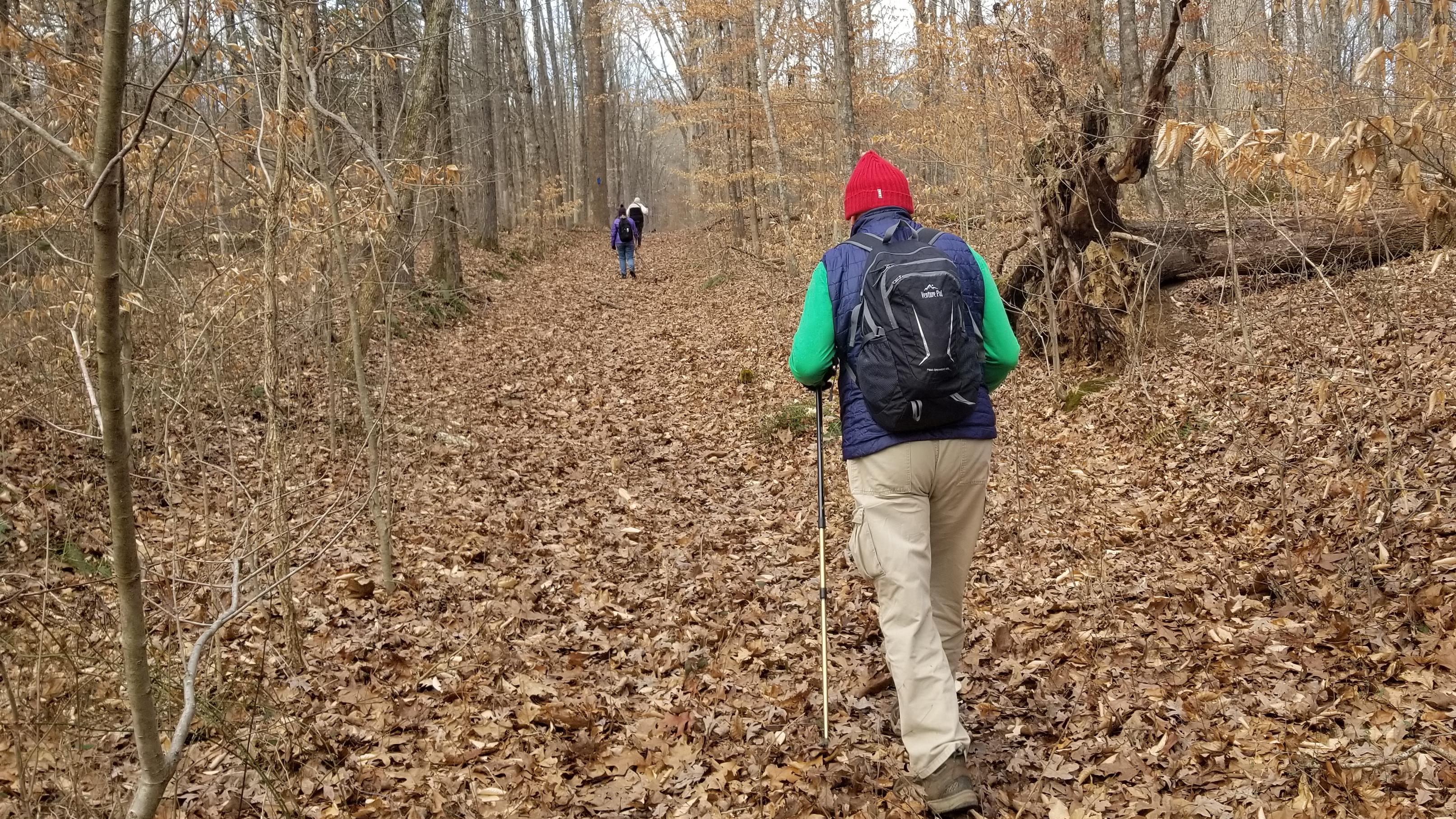 Hikers forge ahead through autumn leaves.