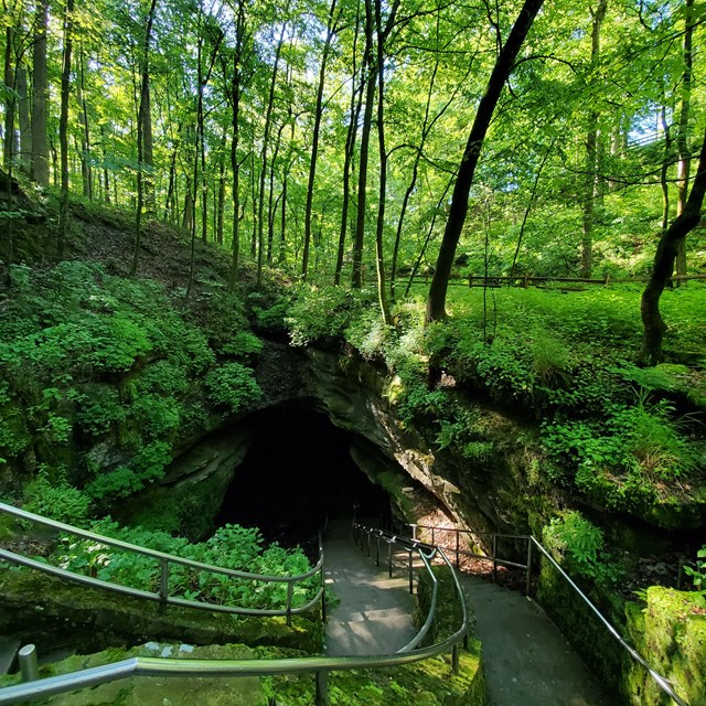 A long staircase leads down into the cave. Green shrubs and trees surround the cave opening. 