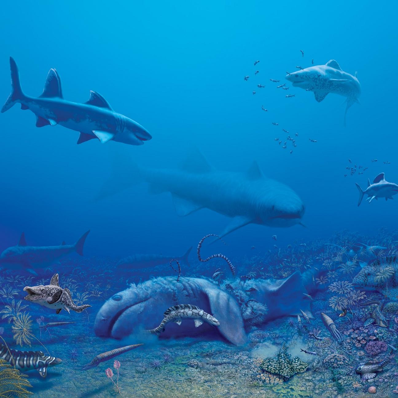 A painting of ocean life including sharks, fish and coral. 