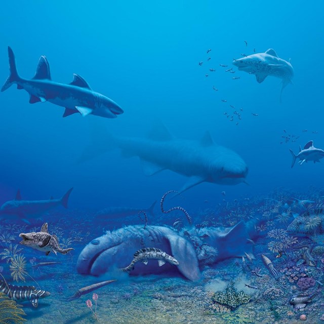 A painting of ocean life including sharks, fish and coral. 