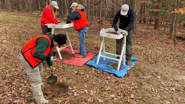 Archeologists stand near a forest while screening soil through sieves.