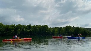 Several kayakers on a calm river.