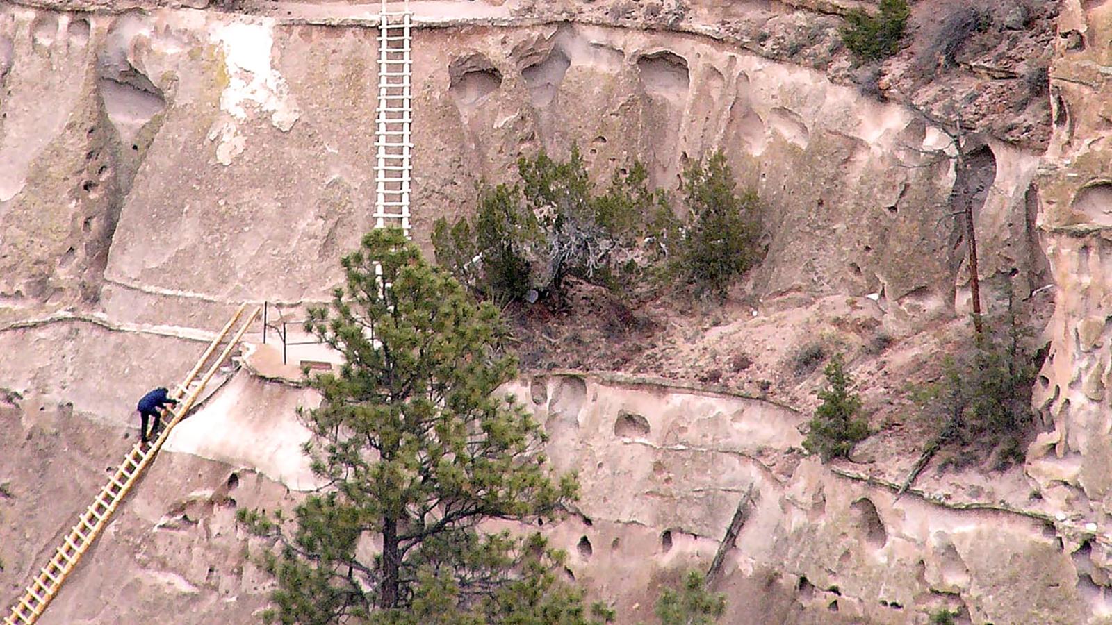 A person climbs up a rustic wooden ladder leaning against rocky terrain.