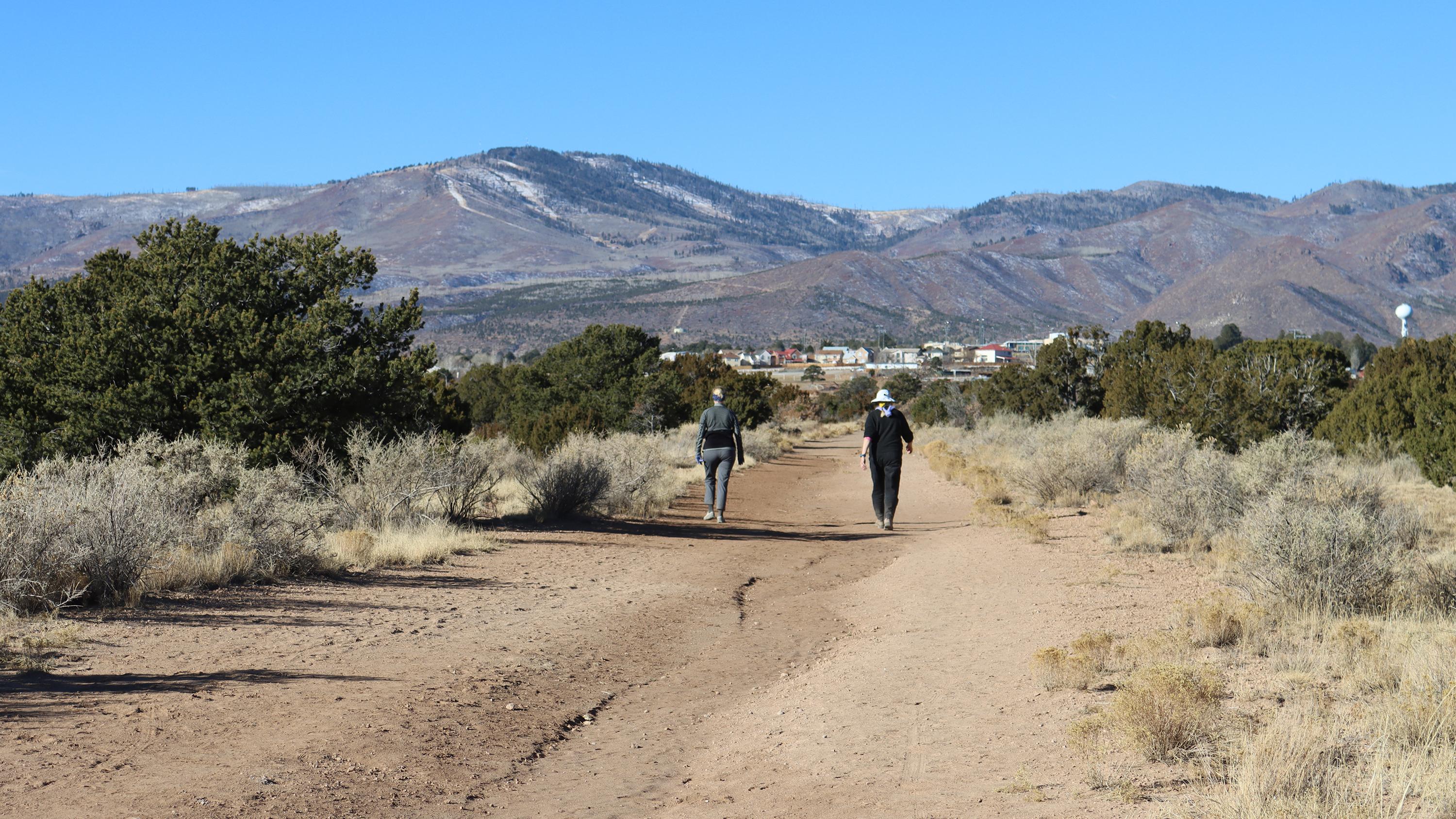 Two people walking a dirt trail.