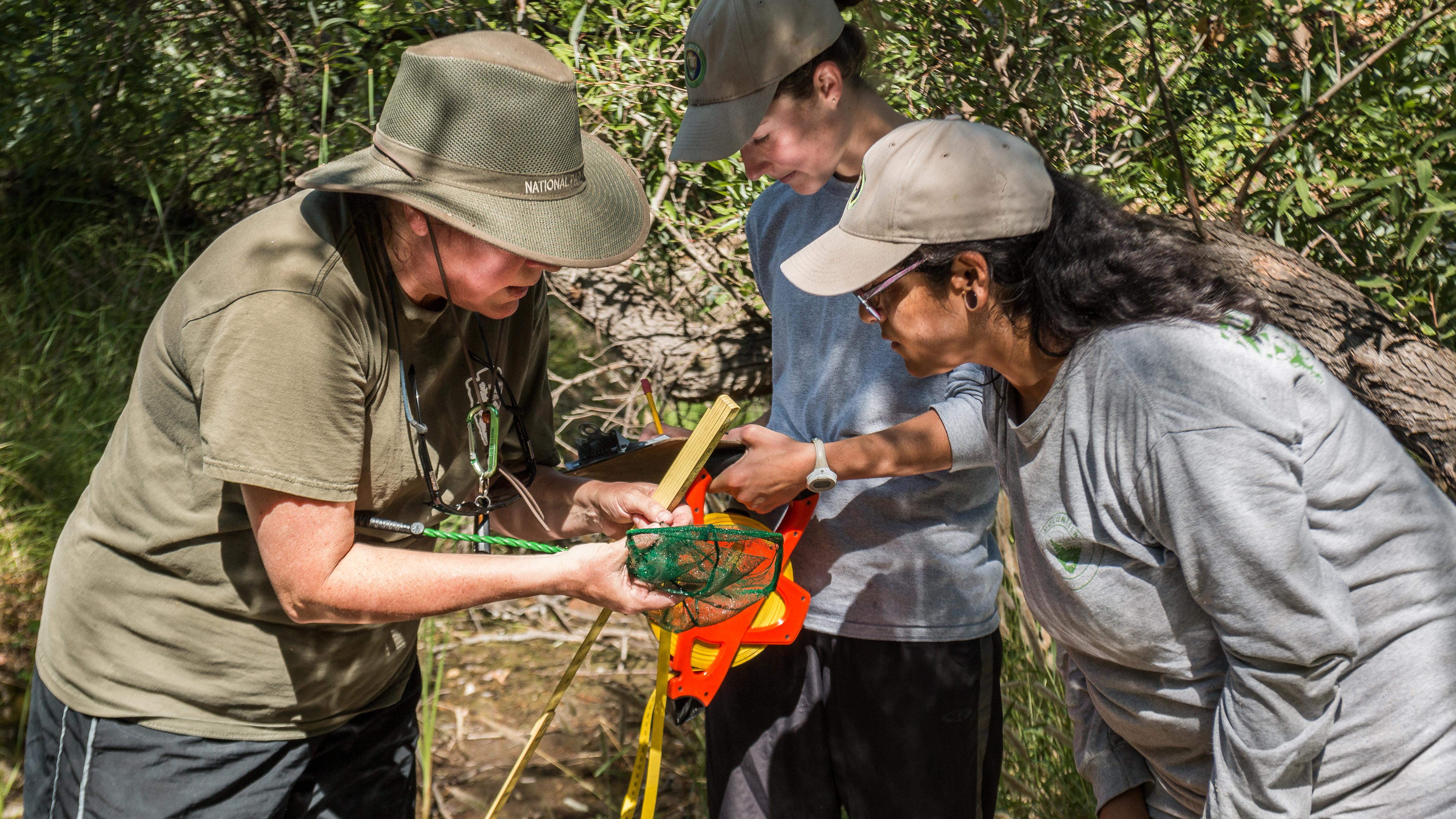 A stream monitoring field crew examines the contents of a net and records data