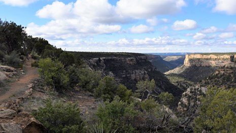 A trail winds along a forested mesa top, with a view down a winding canyon stretching into the dista