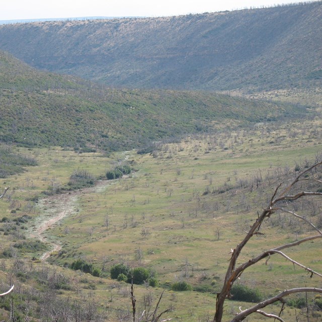 Dense vegetation covers a shallow canyon with a river running through the valley 