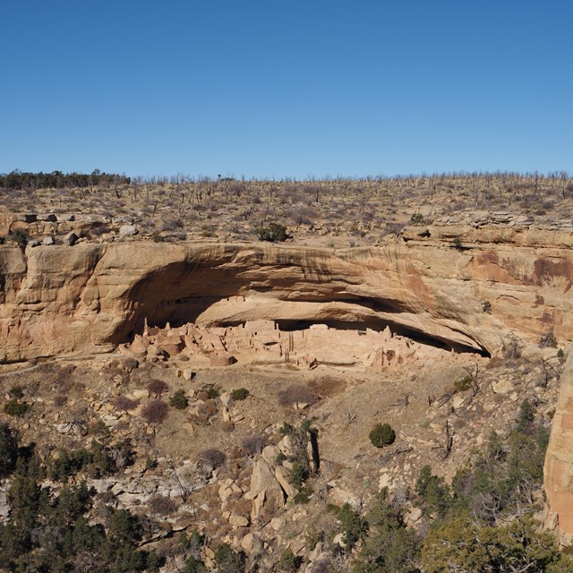A landscape view with blue sky, mesa top, cliff dwelling alcove and sloping canyon walls