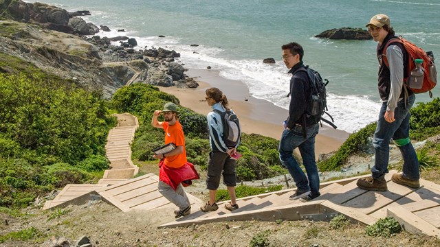 Four hikers go down steps to a beach below. 
