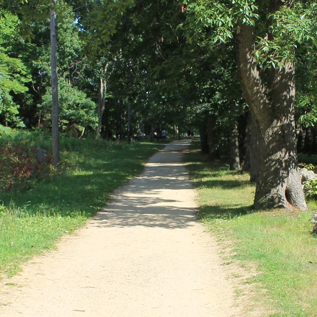 A light brown dirt road bordered by a low stone wall on the right leads through a wooded landscape.