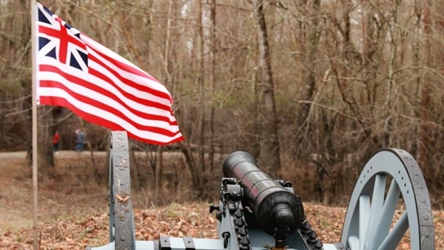 Cannon with a Grand Union Flag 