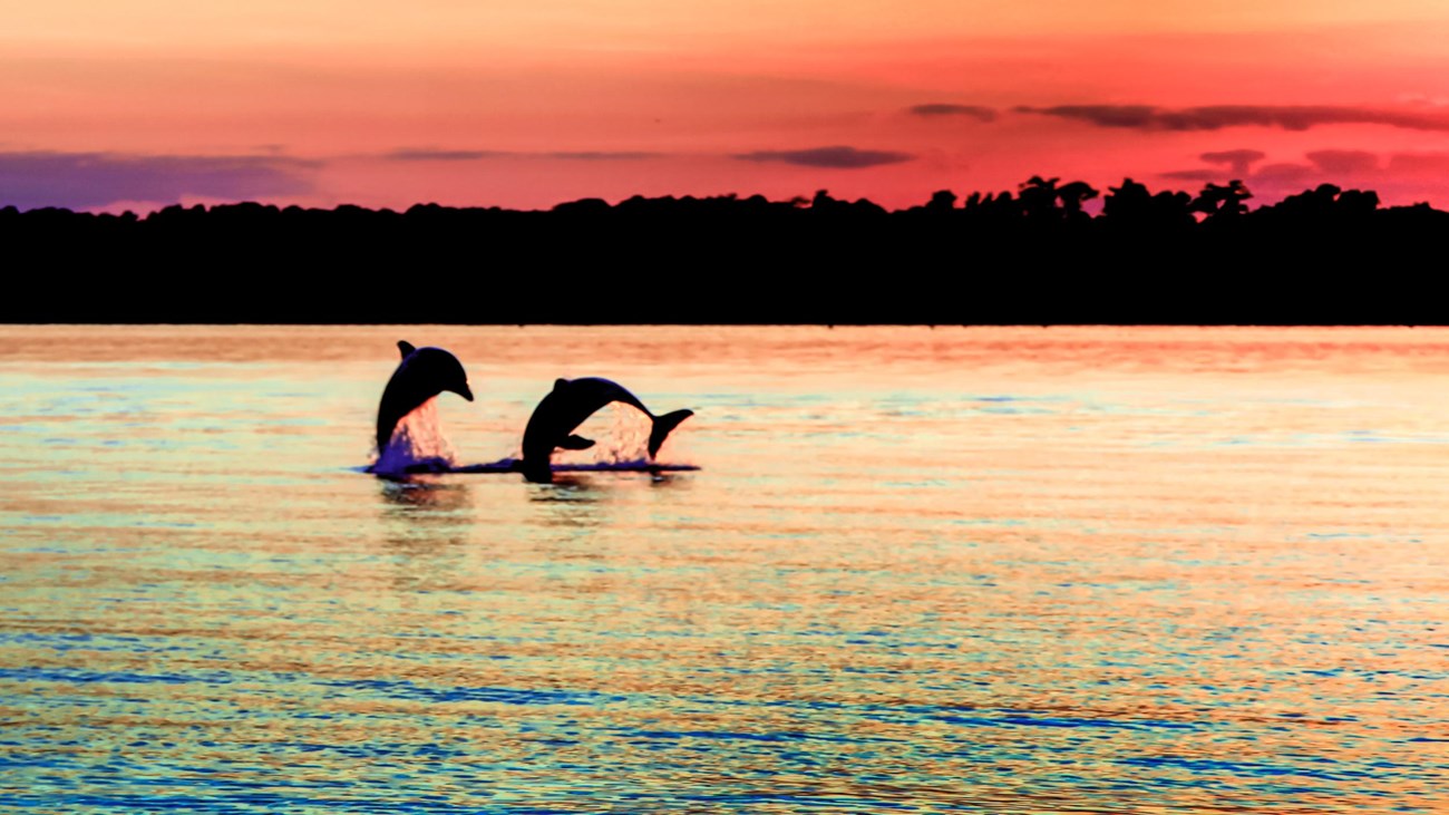 USS North Carolina BB55