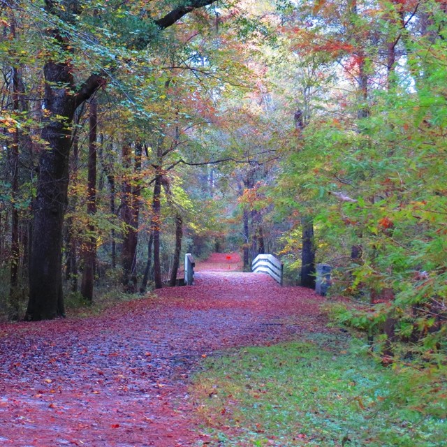 Moores Creek Bridge on a Fall day. 