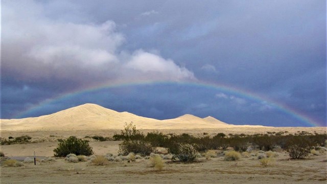A rainbow in a darkened sky over Kelso Dunes with creosote in the background.