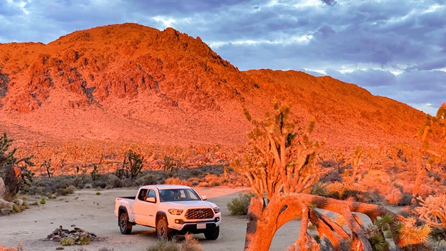  A mountain bathed in orange sunset light with Joshua tree and white pickup in foreground
