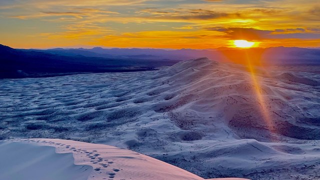 Sunset over Kelso Dunes