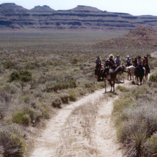 Horseback riders on a dirt trail with creosote and mountains. 