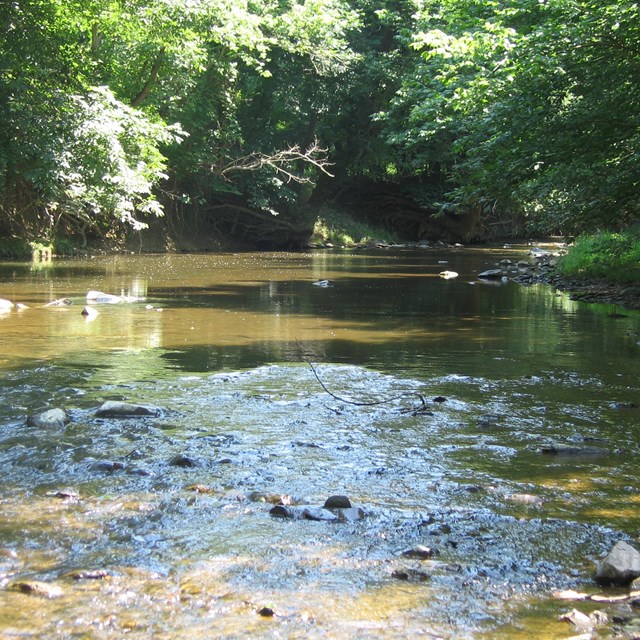 A shallow creek