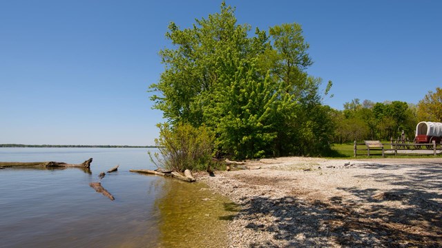 A large shrub sits next to a river bank.