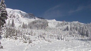 Mount Rainier and the Paradise meadows covered in snow.