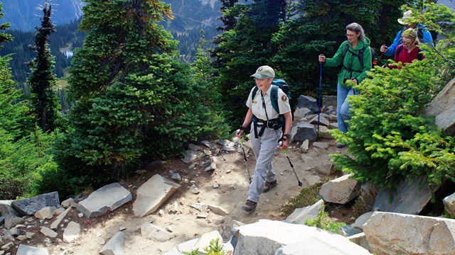 Volunteer meadow rover leads visitors along a subalpine trail.