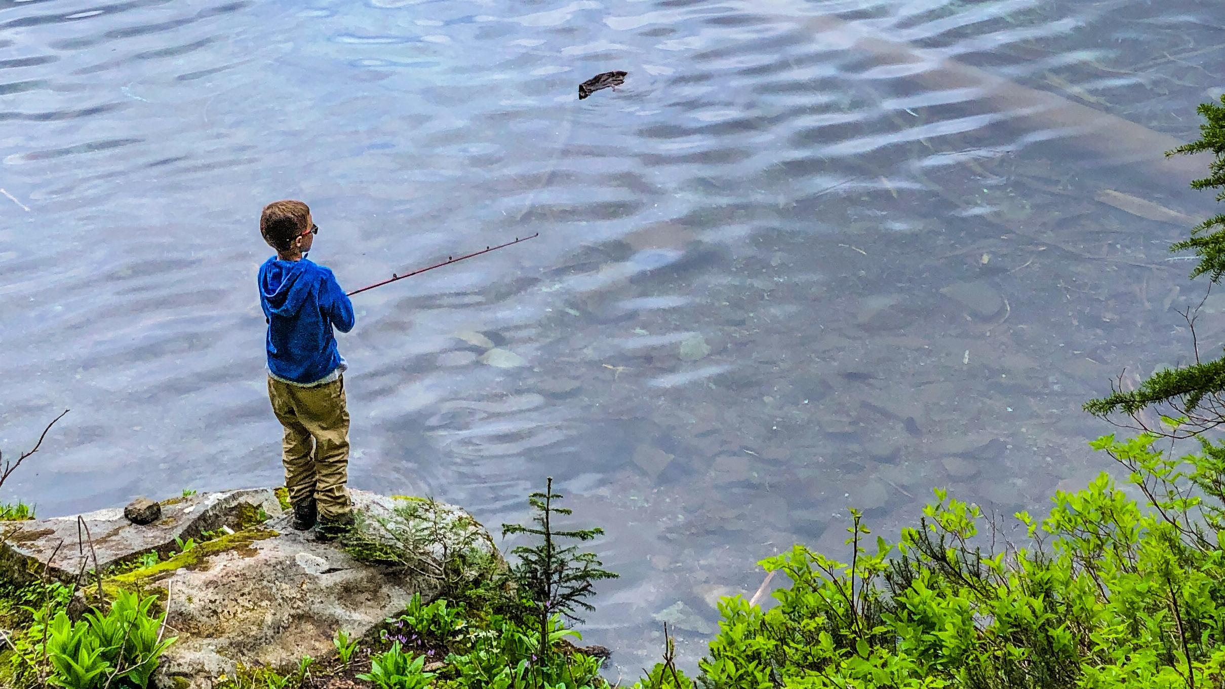 A hand holds a small brown and green spotted trout. 