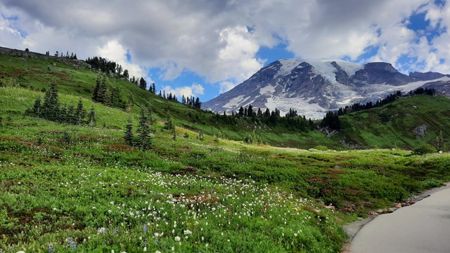 A cloudy day over Mount Rainier. A paved path winds through a meadow.